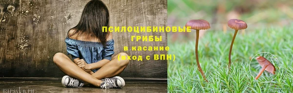 дурь Абаза