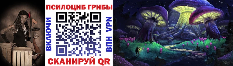 купить закладку  Благовещенск  Галлюциногенные грибы Psilocybe 
